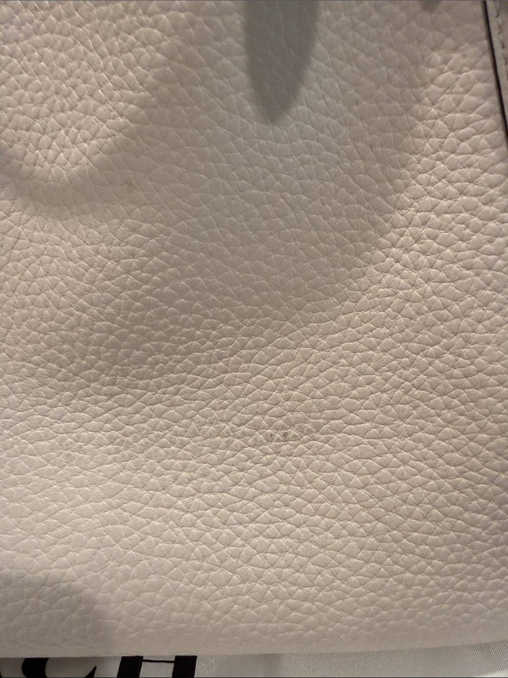 Coach Lori Pebbled Leather Shoulder Bag in Eggshell with Gold Hardware - Picture 3 of 9